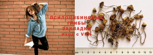 марки lsd Кодинск