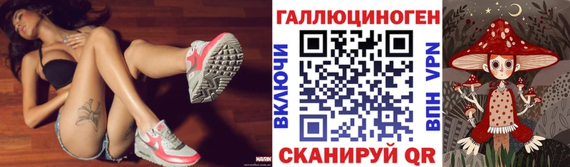 Псилоцибиновые грибы мицелий  Тайга 